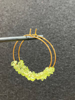 Creolen mit grünem Peridot und Gold-Edelstahl